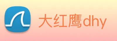 大红鹰dhy logo